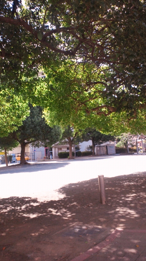 e0238738_22474780.jpg