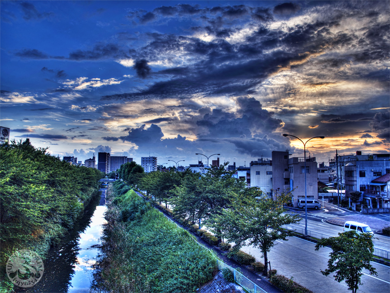 b0135347_011839.jpg