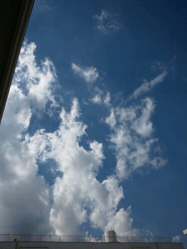 a0170450_22352672.jpg