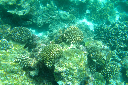 f0190653_11114289.jpg