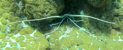 f0190653_11115747.jpg