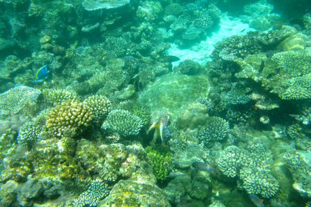 f0190653_11142282.jpg
