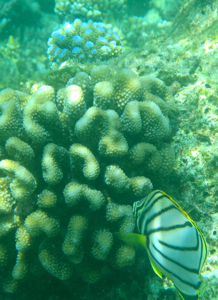 f0190653_1115184.jpg