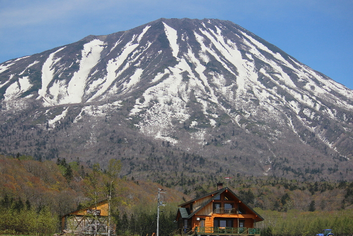 b0250154_844089.jpg