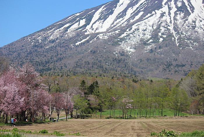 b0250154_855737.jpg