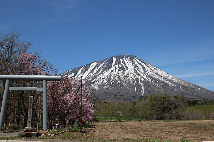b0250154_892384.jpg