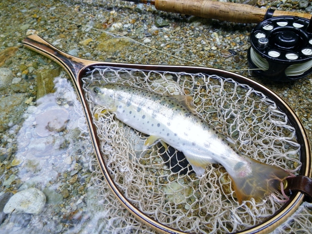 b0177355_20585110.jpg