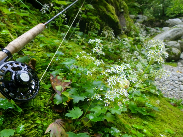 b0177355_20591028.jpg