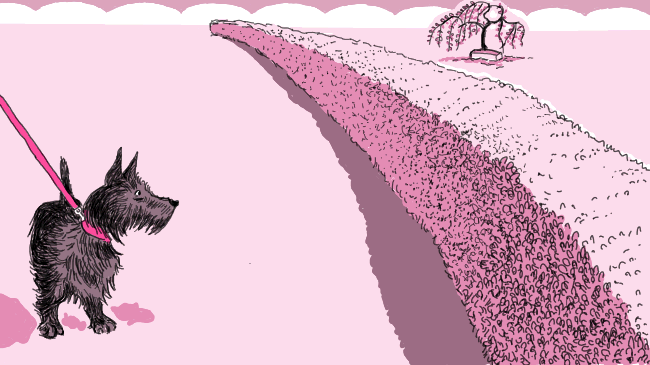 f0223055_11254397.gif