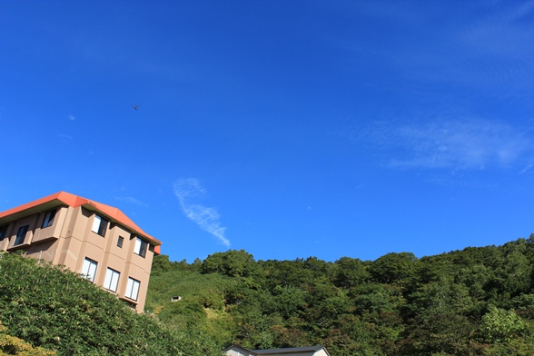 e0239458_224418.jpg