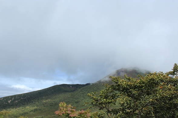 e0239458_22461147.jpg