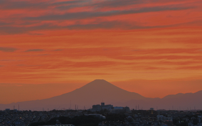 a0150260_2320363.jpg