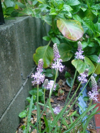 d0105063_21201852.jpg