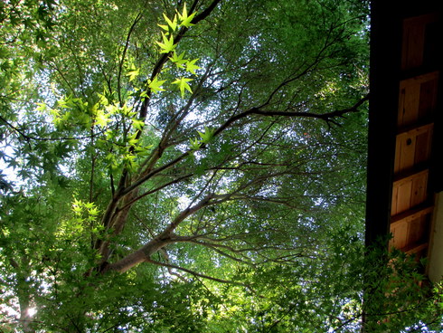 a0243064_946156.jpg