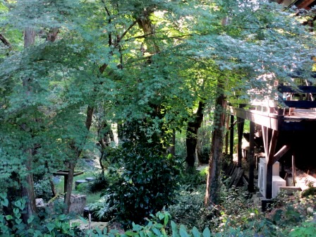 a0243064_9464623.jpg