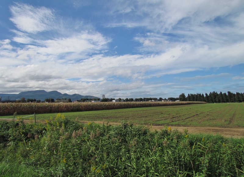 c0183777_20153827.jpg