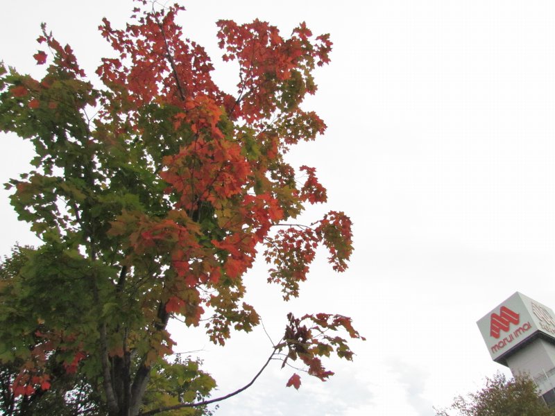 c0183777_9182150.jpg
