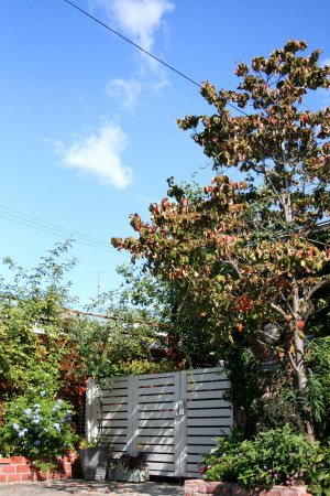 e0154682_0134630.jpg