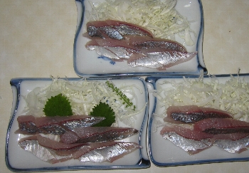 f0003283_952448.jpg