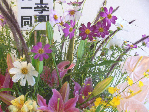 e0140986_112598.jpg
