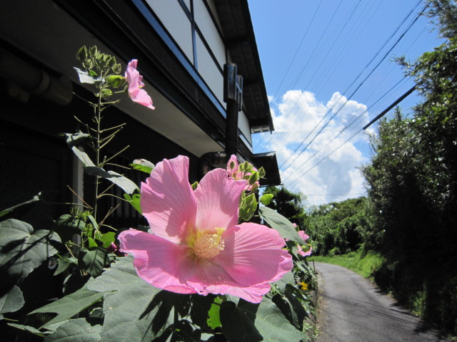 a0170390_22273591.jpg