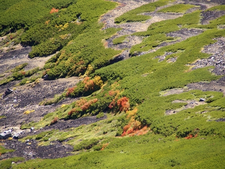e0271890_1725434.jpg