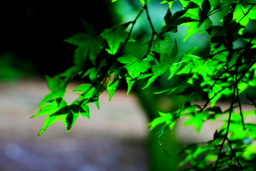 a0097006_021891.jpg