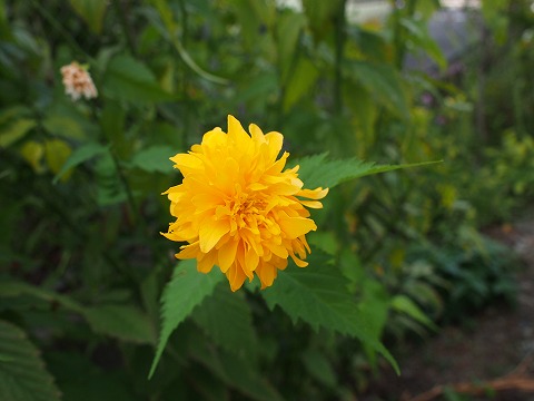 c0117007_2211798.jpg
