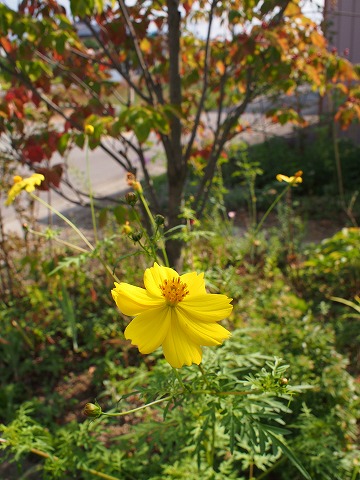c0117007_2273069.jpg