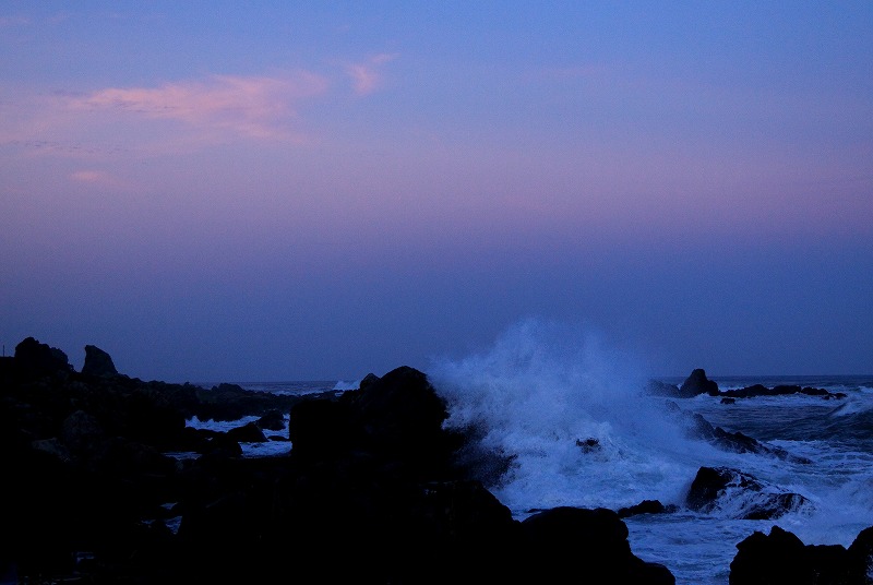 b0229909_11132021.jpg