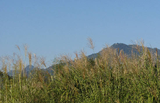 d0154609_13355356.jpg