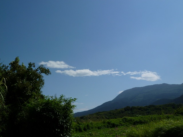 d0037110_197406.jpg