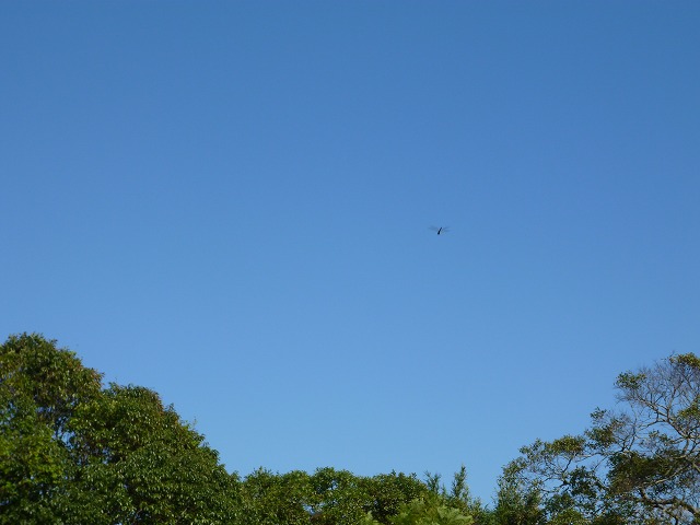 d0037110_1981272.jpg