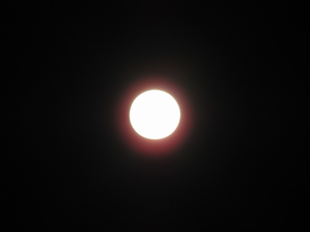 d0037110_2238499.jpg