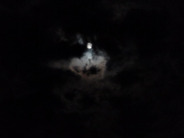 d0037110_22482124.jpg