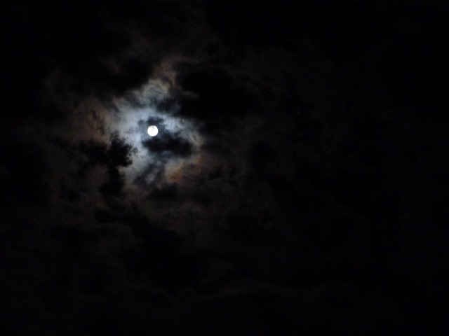 d0037110_22492178.jpg