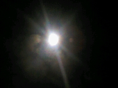 e0239912_2227211.jpg