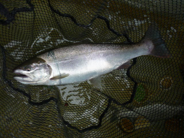 c0232813_8354599.jpg