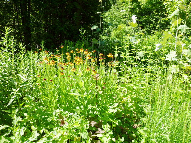 d0170615_1065469.jpg