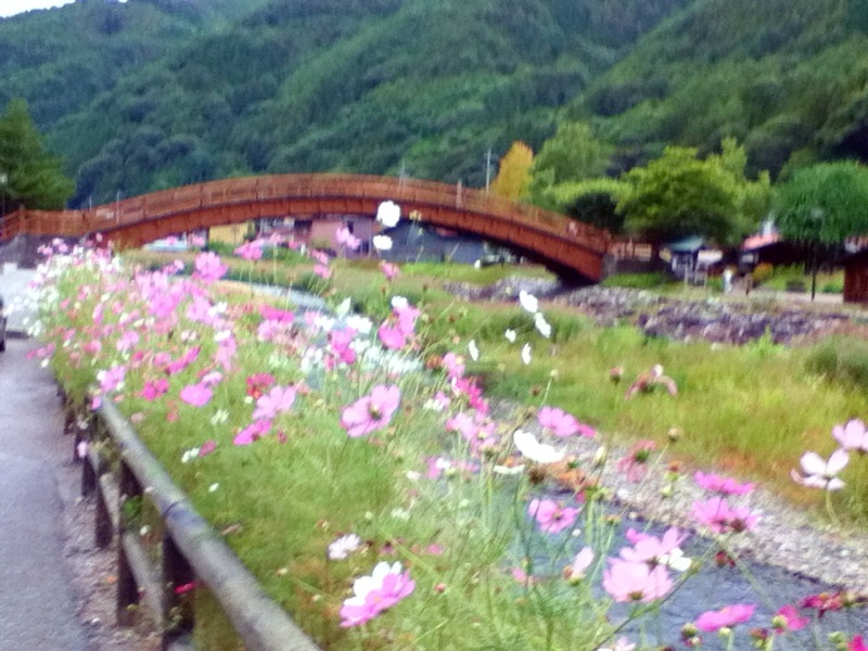 d0221319_17265427.jpg