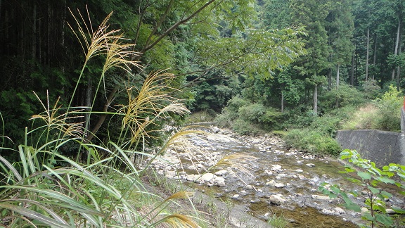 f0000521_173712100.jpg