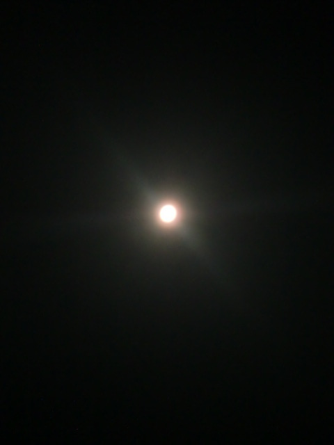 c0220724_0504563.jpg