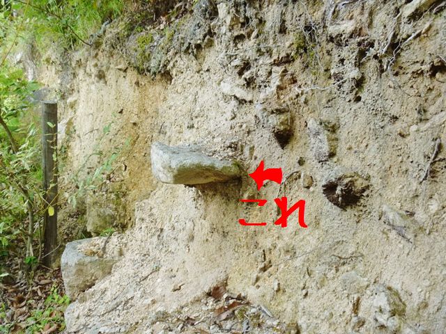 d0137326_1723912.jpg