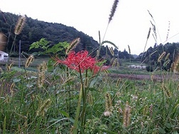 b0252727_1820389.jpg