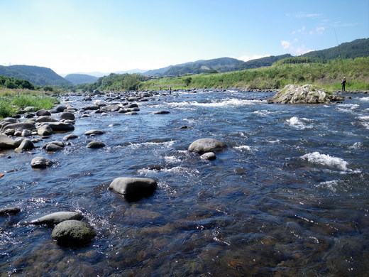d0172227_1002647.jpg
