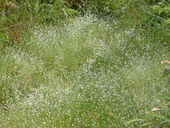 c0009528_22421032.jpg