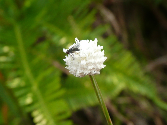 c0009528_22423176.jpg