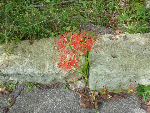 a0024829_8435916.jpg