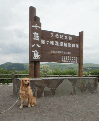 c0197829_3113999.gif