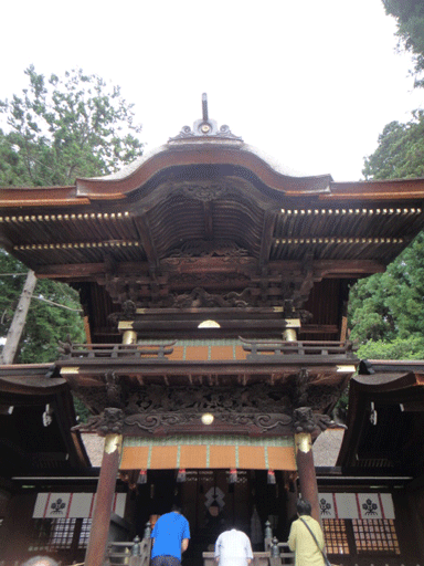 c0197829_315212.gif